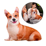 Maxbell Dog Throw pillow Pillow Fun Animal Dolls Cute for Christmas Gift