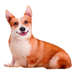 Maxbell Dog Throw pillow Pillow Fun Animal Dolls Cute for Christmas Gift