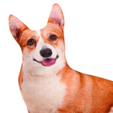 Maxbell Dog Throw pillow Pillow Fun Animal Dolls Cute for Christmas Gift