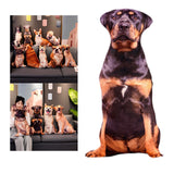 Maxbell Animals Dog Pattern Plush Throw Pillow Cushion, Washable Birthday Gifts