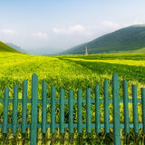 Maxbell 6x Garden Fence Border Edging Landscape Border Durable for DIY Decorative Green