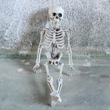 Maxbell 16 inch Halloween Skeleton Full Body for Photo Prop Lawn Haunted House
