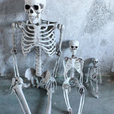 Maxbell 16 inch Halloween Skeleton Full Body for Photo Prop Lawn Haunted House