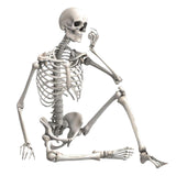 Maxbell 16 inch Halloween Skeleton Full Body for Photo Prop Lawn Haunted House