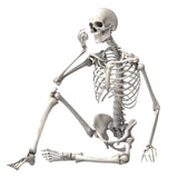 Maxbell 16 inch Halloween Skeleton Full Body for Photo Prop Lawn Haunted House