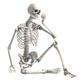 Maxbell 16 inch Halloween Skeleton Full Body for Photo Prop Lawn Haunted House