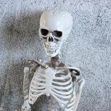 Maxbell 16 inch Halloween Skeleton Full Body for Photo Prop Lawn Haunted House