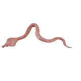 Maxbell 12Pcs Realistic False Snakes for Props Party Favors Boys and Girls
