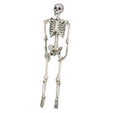 Maxbell Halloween Skeleton Faux Human Skeleton Decorations for Home Indoor Party