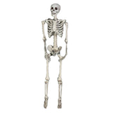 Maxbell Halloween Skeleton Faux Human Skeleton Decorations for Home Indoor Party