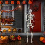 Maxbell Halloween Skeleton Faux Human Skeleton Decorations for Home Indoor Party
