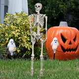 Maxbell Halloween Skeleton Faux Human Skeleton Decorations for Home Indoor Party