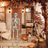Maxbell Halloween Skeleton Faux Human Skeleton Decorations for Home Indoor Party