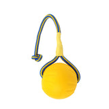 Maxbell EVA Dog Chew Ball Toys Yellow Bite Resistant for Dogs Training Playing 7cm Ball With Rope