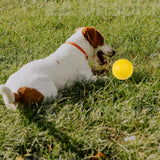 Maxbell EVA Dog Chew Ball Toys Yellow Bite Resistant for Dogs Training Playing 9cm Ball