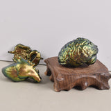 Maxbell Organs Fondant Model Handmade Reusable Baking Tools Accessories for Pudding Brain