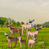 Maxbell 6Pcs Realistic Animal Deer Figures DIY Crafts for Desktop Home Supplies Brown