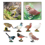 Maxbell Durable Bird Figurine Sculpture Cute Simulation for Lawn Yard Bookshelf Style A