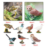 Maxbell Durable Bird Figurine Sculpture Cute Simulation for Lawn Yard Bookshelf Style A