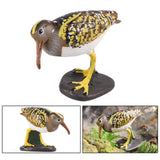 Maxbell Durable Bird Figurine Sculpture Cute Simulation for Lawn Yard Bookshelf Style A