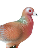 Maxbell Durable Bird Figurine Sculpture Cute Simulation for Lawn Yard Bookshelf Style C