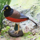 Maxbell Durable Bird Figurine Sculpture Cute Simulation for Lawn Yard Bookshelf Style F