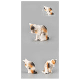 Maxbell Cat Figures Toy Set Home Decor Small for Christmas Birthday Gift Boys Girls