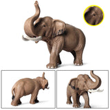 Maxbell Mini Elephant Model Action Figure Decor Lifelike for Home Shelf Children