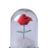 Maxbell Artificial Rose with Glass Cover Eternal Glass Flower for Living Room Table Rose