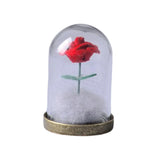 Maxbell Artificial Rose with Glass Cover Eternal Glass Flower for Living Room Table Rose