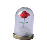 Maxbell Artificial Rose with Glass Cover Eternal Glass Flower for Living Room Table Rose