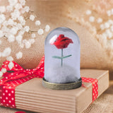 Maxbell Artificial Rose with Glass Cover Eternal Glass Flower for Living Room Table Rose