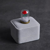 Maxbell Artificial Rose with Glass Cover Eternal Glass Flower for Living Room Table with Velvet Case