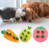 Maxbell Hide and Seek Carrot Durable for Memory Games Fun Carrots Harvest Toy Cats Carrot
