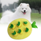 Maxbell Hide and Seek Carrot Durable for Memory Games Fun Carrots Harvest Toy Cats Pineapple