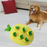Maxbell Hide and Seek Carrot Durable for Memory Games Fun Carrots Harvest Toy Cats Pineapple