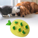 Maxbell Hide and Seek Carrot Durable for Memory Games Fun Carrots Harvest Toy Cats Pineapple