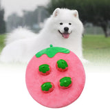 Maxbell Hide and Seek Carrot Durable for Memory Games Fun Carrots Harvest Toy Cats Strawberry