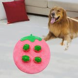 Maxbell Hide and Seek Carrot Durable for Memory Games Fun Carrots Harvest Toy Cats Strawberry