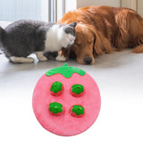 Maxbell Hide and Seek Carrot Durable for Memory Games Fun Carrots Harvest Toy Cats Strawberry