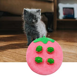 Maxbell Hide and Seek Carrot Durable for Memory Games Fun Carrots Harvest Toy Cats Strawberry