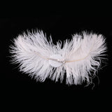 Women Girls Feather Hair Clip Headpiece Fascinator Wedding Party Costume