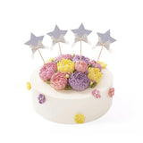 Maxbell  4x Twinkle Twinkle Little Stars Cake Toppers Birthday Cupcake Picks Silver