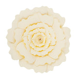 Maxbell DIY Paper Flowers Wall Art Backdrop Decor Wedding Party Photobooth Beige