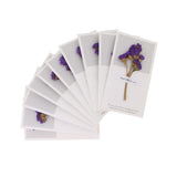 Maxbell 10pcs Dried Flowers Greeting Floral Thank You Cards Myosotis Purple
