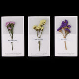 Maxbell 10pcs Dried Flowers Greeting Floral Thank You Cards Myosotis Purple