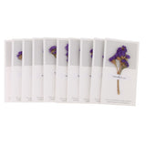 Maxbell 10pcs Dried Flowers Greeting Floral Thank You Cards Myosotis Purple