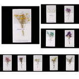 Maxbell 10pcs Dried Flowers Greeting Floral Thank You Cards Myosotis Purple