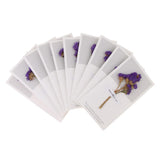 Maxbell 10pcs Dried Flowers Greeting Floral Thank You Cards Myosotis Purple