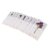 Maxbell 10pcs Dried Flowers Greeting Floral Thank You Cards Myosotis Purple